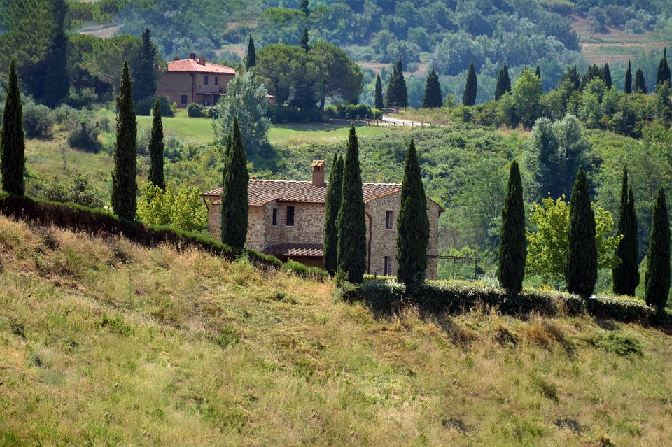 Vinrejse i Toscana - landskab
