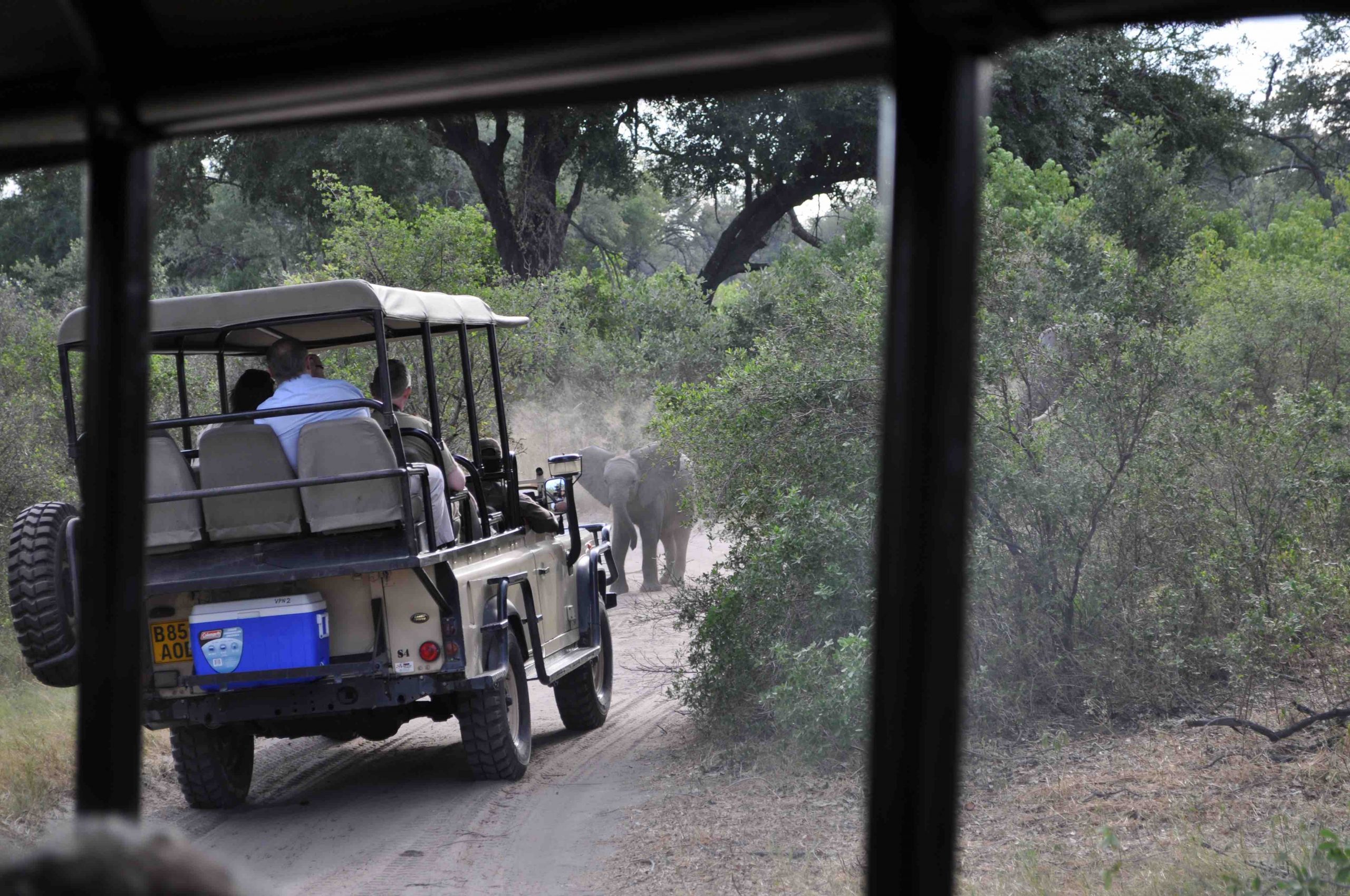 Safari i Botswana