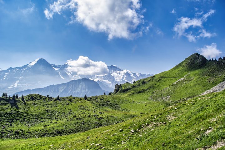 De Schweiziske alper
