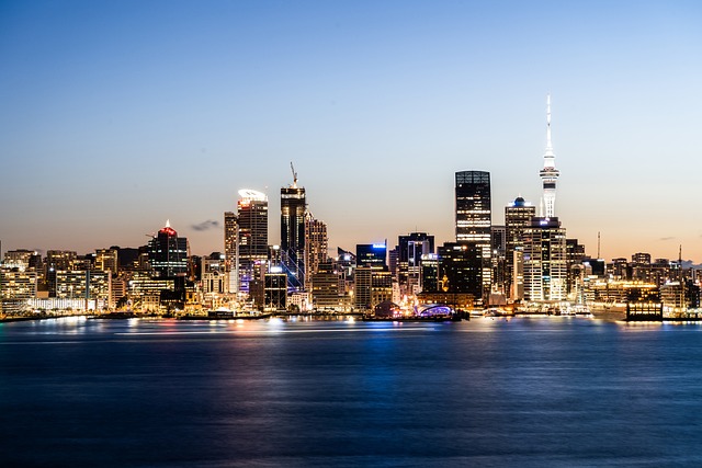Billede af Aucklands skyline