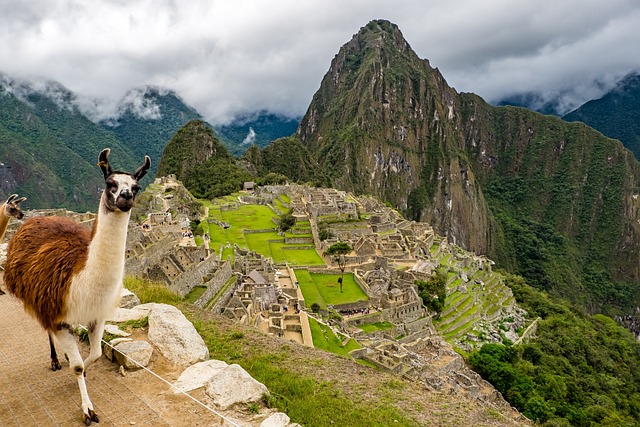 Machu Picchu for seniorer