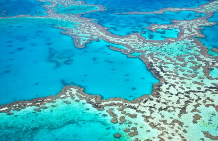 Great barrier reef Australiens rejseoplevelser