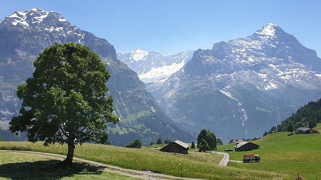 De schweiziske Alper