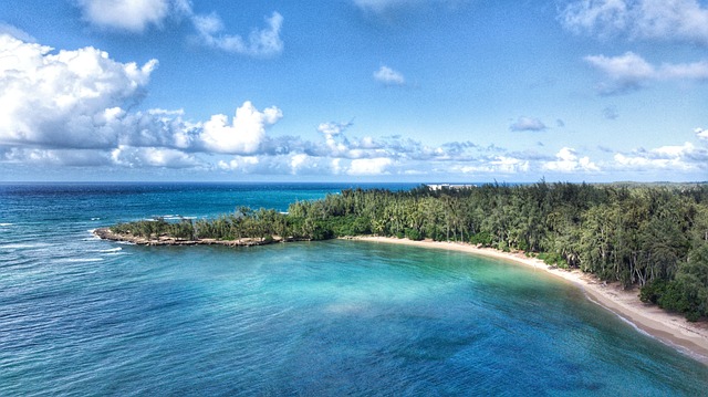 Smukke destinationer til din Instagram - Oahu, Hawaii
