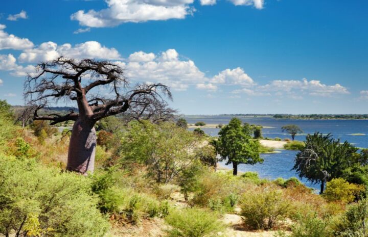 Botswana - singlerejse