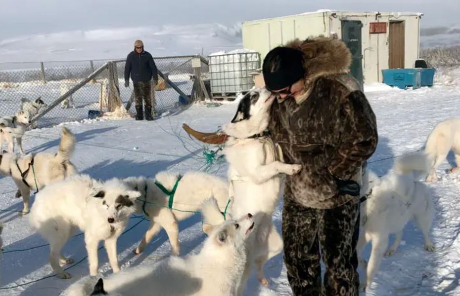 Grønlands vinteroplevelser hundeslædetur